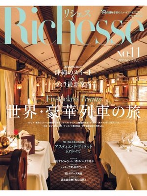 cover image of Richesse リシェス, Volume11